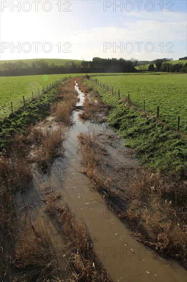 River Kennet flowing across fields towards Swallowhead Springs, West Kennet, Wiltshire, England, UK