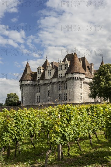 The castle Chateau de Monbazillac and vineyard, Dordogne, Aquitaine, France, Europe