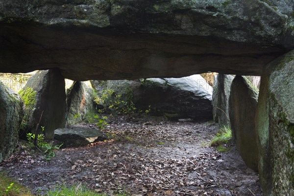 Seven Stone Houses, Sieben Steinhaeuser, dolmens from the neolithic funnelbeaker period at Bergen, Lueneburg Heath, Lunenburg Heathland, Lower Saxony, Germany, Europe