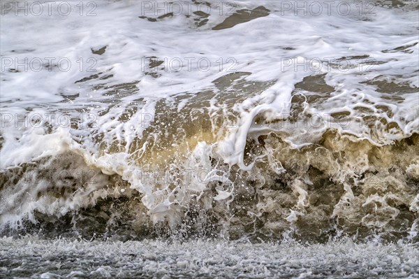 Wave crashing /rolling on beach during winter storm along North Sea coast in Zeeland, Netherlands