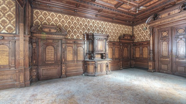 Elegant, high-ceilinged room with detailed wood panelling and ornamental ceiling, Villa Woodstock, Lost Place, Wuppertal, North Rhine-Westphalia, Germany, Europe