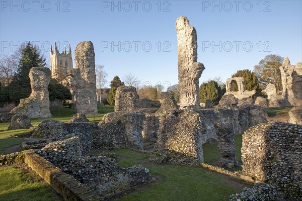 Abbey monastic ruins and cathedral grounds, Bury St Edmunds, Suffolk, England, UK