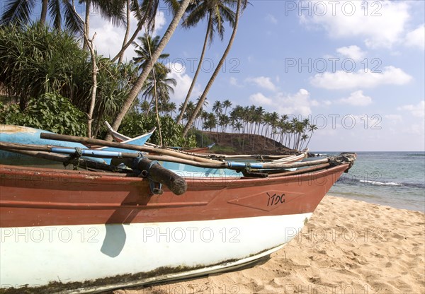 Brightly coloured fishing canoes under coconut palm trees of tropical sandy beach, Mirissa, Sri Lanka, Asia