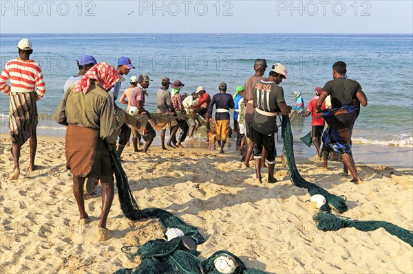 Traditional fishing hauling nets Nilavelli beach, near Trincomalee, Eastern province, Sri Lanka, Asia