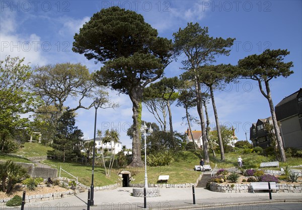 Gyllyngdune Gardens, Falmouth, Cornwall, England, UK