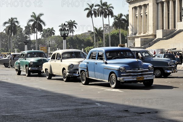 Several vintage cars from the 1950s in the centre of Havana, Centro Habana, Cuba, Greater Antilles, Caribbean, Central America