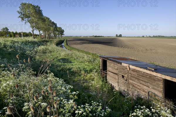 Barn along field at Schouwen, Schouwen-Duiveland, Zeeland, the Netherlands