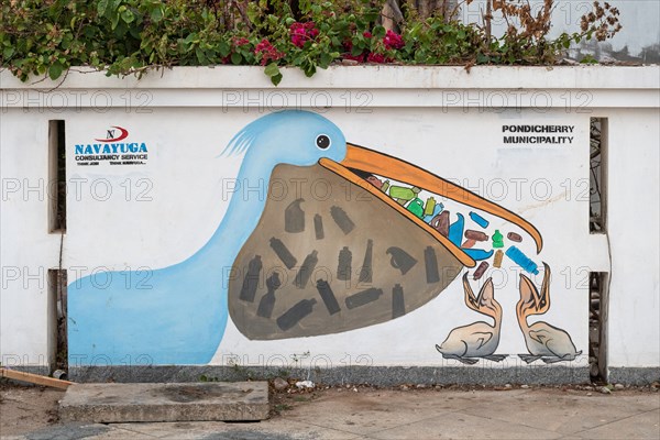 Pelican with plastic bottles in its beak, graffiti, Pondicherry or Puducherry, Tamil Nadu, India, Asia