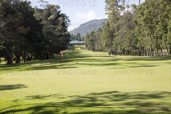 Golf course and clubhouse, Nuwara Eliya, Central Province, Sri Lanka, Asia