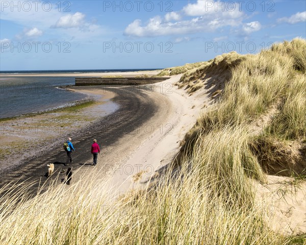 Sandy beach at low tide, Budle Bay, Northumberland, England, UK