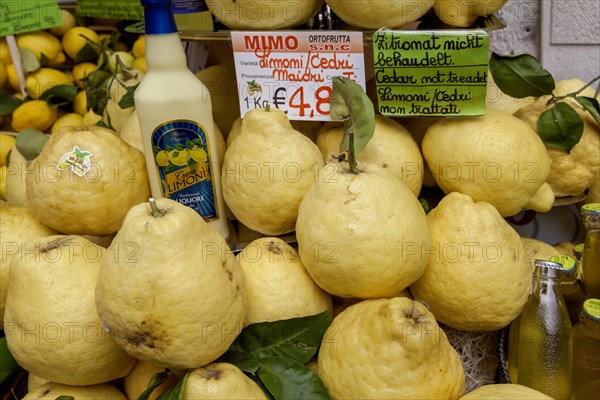 Lemons and lemon products, Limone sul Garda, Lake Garda, Province of Brescia, Lombardy, Italy, Europe