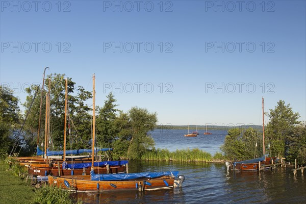 Auswanderers, traditional wooden sailing boats moored in Steinhuder Meer, Lake Steinhude, Lower Saxony, Niedersachsen, Germany, Europe