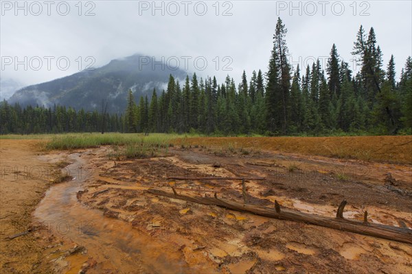 Paint Pots, iron-rich cold mineral springs in the Kootenay National Park, British Columbia, Canada, North America