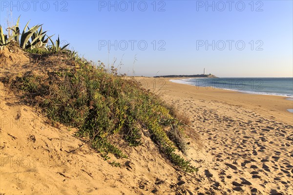 Sandy beach at Cabo de Trafalgar, Cadiz Province, Spain, Europe