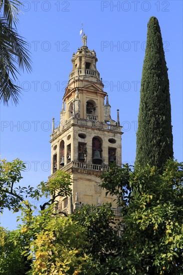 Cathedral belfry bell tower, Toree del Laminar, Great Mosque, Cordoba, Spain, Europe