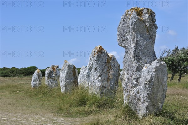 Megalithic standing stones, Alignements de Lagatjar at Crozon, Camaret-sur-Mer, Finistere, Brittany, France, Europe