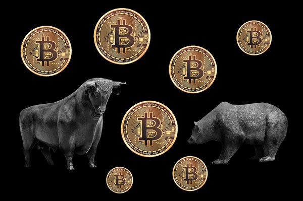 Bull and bear, symbolic figures of the stock market, Studio