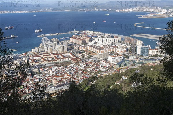 High density modern apartment block housing, Gibraltar, British overseas territory in southern Europe, Europe