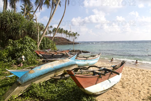 Brightly coloured fishing canoes under coconut palm trees of tropical sandy beach, Mirissa, Sri Lanka, Asia