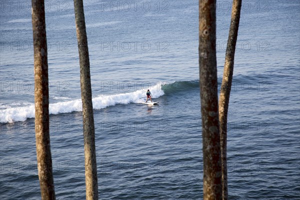 Man paddle board surfing on wave, Mirissa, Sri Lanka, Asia