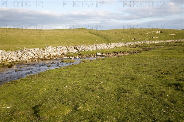 Stream sinking underground in limestone rock, Malham, Yorkshire Dales national park, England, UK