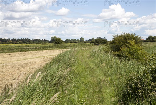 Footpath on flood defence dyke in marshland, Oxley Marshes, Hollesley, Suffolk, England, UK