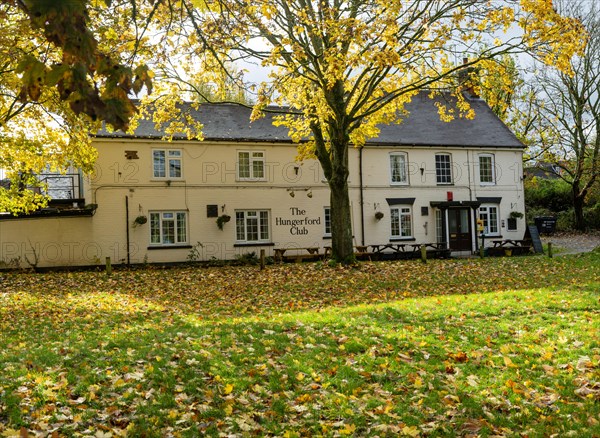 Autumn leaves on grass in front of The Hungerford Club, The Croft, Hungerford, Berkshire, England, UK