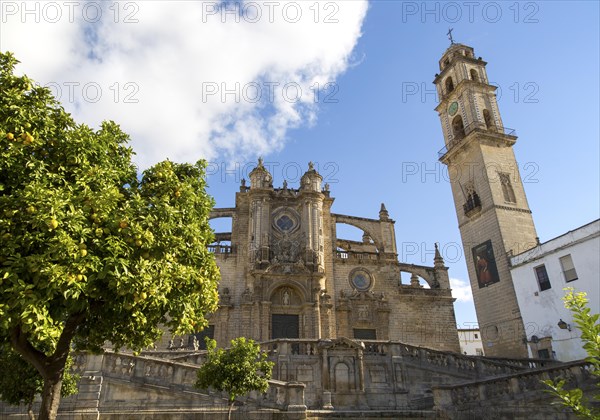 Cathedral church in Jerez de la Frontera, Cadiz province, Spain, Europe