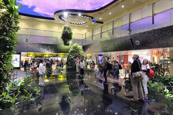 Interior view of Terminal 2, dreamscape with immersive garden and digital sky, Changi Airport Singapore, Singapore, Asia