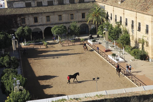 Raised angle view courtyard of equestrian centre, Caballerizas Reales de Cordoba, Royal Stables, Cordoba, Spain, Europe