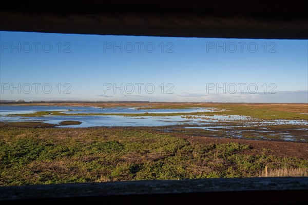 View over salt marsh of the Western Scheldt estuary at nature reserve Verdronken Land van Saeftinghe from within bird hide at Emmadorp, Netherlands