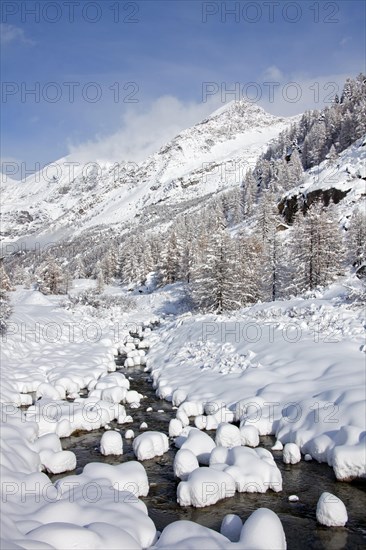 Mountain stream in the snow in winter in the Gran Paradiso National Park, Valle d'Aosta, Italy, Europe