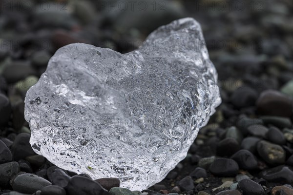 A piece of glacial ice, melting on the black sand beach near Joekulsarlon glacial lake on the Atlantic Ocean coast, known as diamond beach. Photographed in summer. Sveitarfelagio Hornafjoerour, Suourland, Southern Region, Iceland, Europe