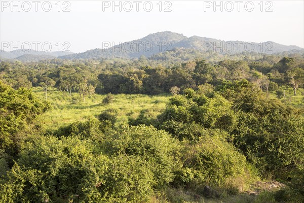 Landscape overview Hurulu Eco Park biosphere reserve, Habarana, Anuradhapura District, Sri Lanka, Asia