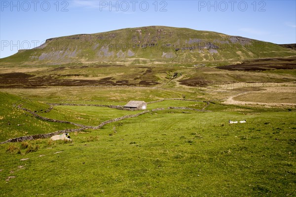 Carboniferous limestone scenery Pen Y Ghent, Yorkshire Dales national park, England, UK