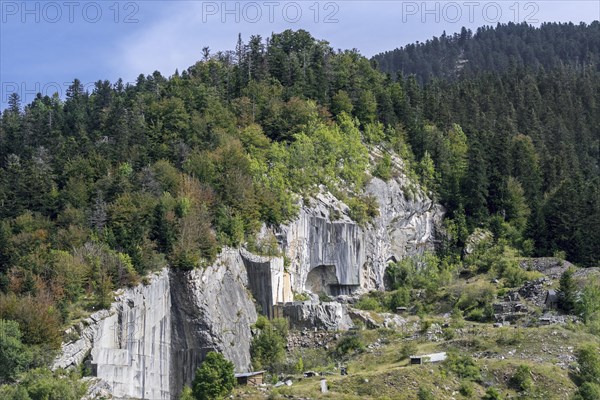 Carriere royale de l'Espiadet, Carriere du Roy, marble quarry at Payolle, Haute-Bigorre, Hautes-Pyrenees, France, Europe