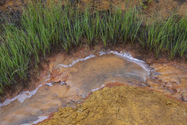 Paint Pots, iron-rich cold mineral springs in the Kootenay National Park, British Columbia, Canada, North America