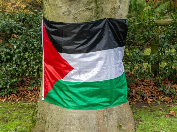 Support for Gaza Palestinians, Palestinian flag on tree outside private home, Suffolk, England, UK