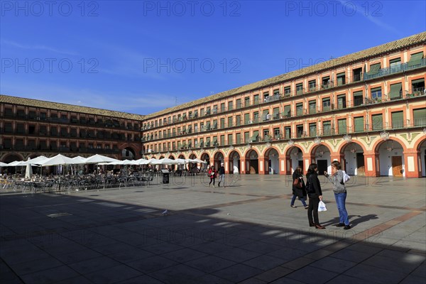 Historic buildings in Plaza de Corredera seventeenth century colonnaded square, Cordoba, Spain, Europe