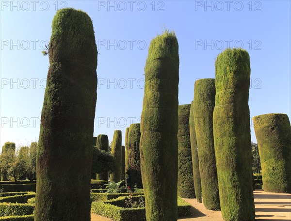 Gardens of the Alcazar de los Reyes Cristianos, Alcazar, Cordoba, Spain, Europe