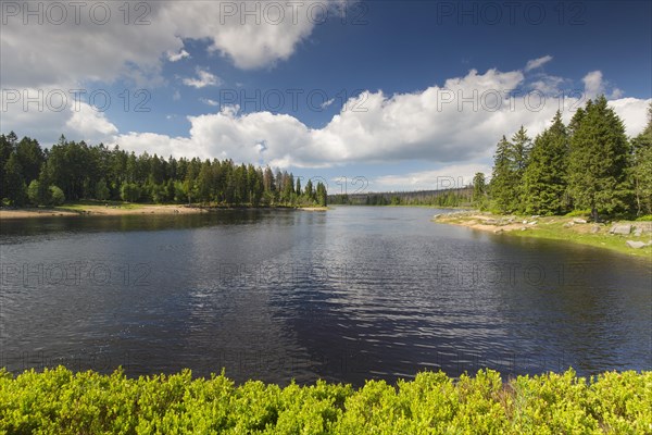 Oderteich, historic reservoir near Sankt Andreasberg in the Upper Harz National Park, Lower Saxony, Germany, Europe