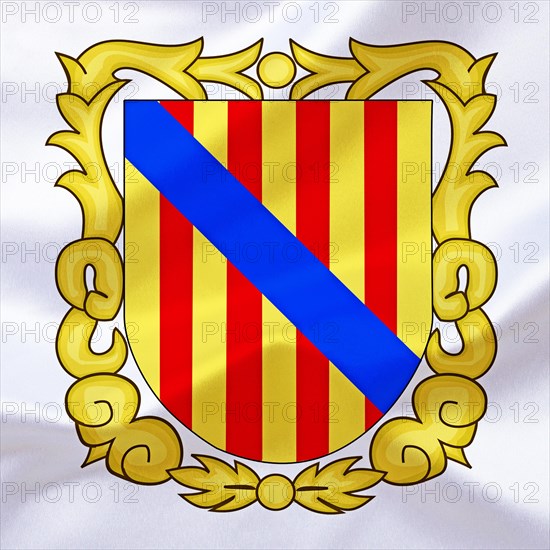 The coat of arms of the Balearic Islands, Studio