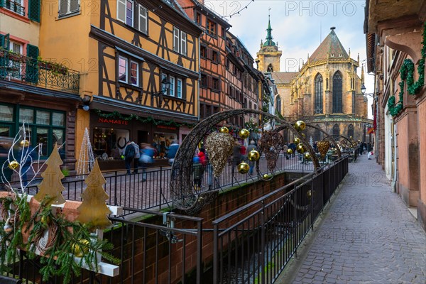 Historic half-timbered houses with Christmas decorations, willow arch, Christmas market, city river, Collegiale Sant Martin de Colmar, historic town, Colmar, Alsace, France, Europe