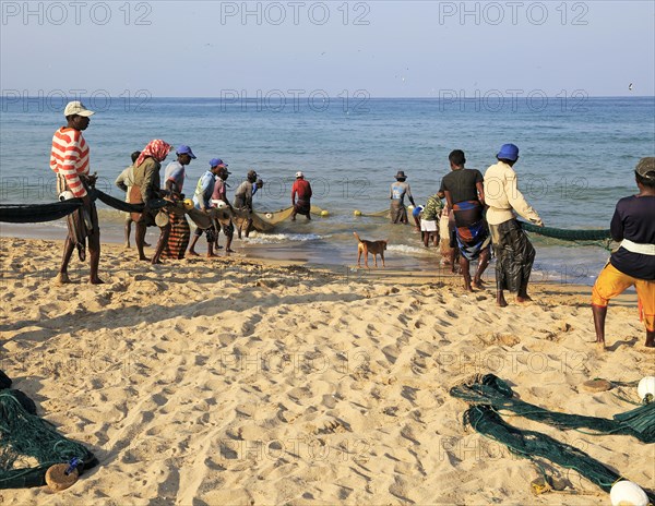 Traditional fishing hauling nets Nilavelli beach, near Trincomalee, Eastern province, Sri Lanka, Asia