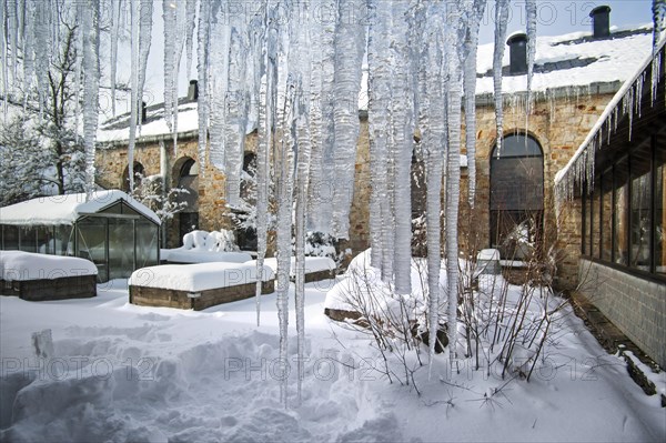 Icicles at the Nature Center of Botrange in the High Fens, Hautes Fagnes, Belgian Ardennes, Belgium, Europe