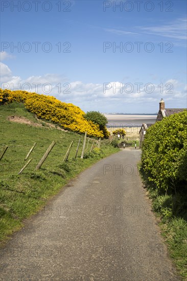 Coastal landscape at Budle Bay, Northumberland coast, England, UK