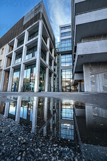 Playing in a puddle in front of the town hall, Pforzheim, Germany, Europe