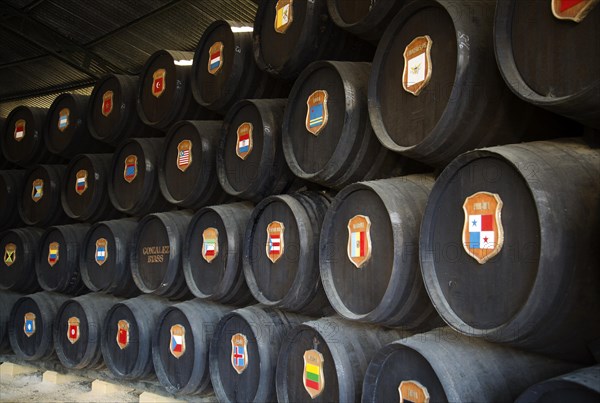 Oak barrels with national symbols of countries exported to from Gonzalez Byass bodega, Jerez de la Frontera, Spain, Europe