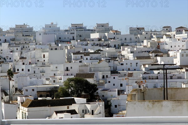 Pueblo blanco historic village whitewashed houses on hillside, Vejer de la Frontera, Cadiz Province, Spain, Europe