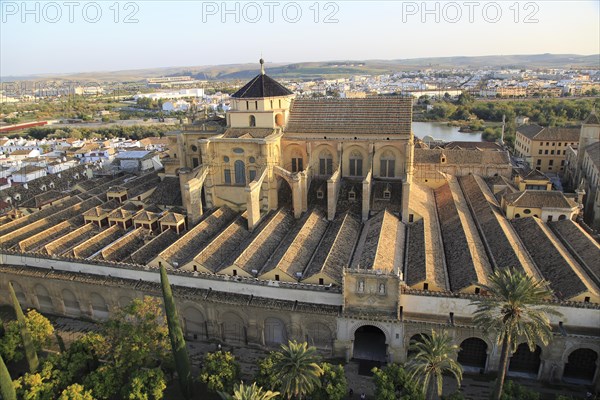 Raised angle view of Great Mosque, Mezquita cathedral, former mosque building in central, Cordoba, Spain, Europe